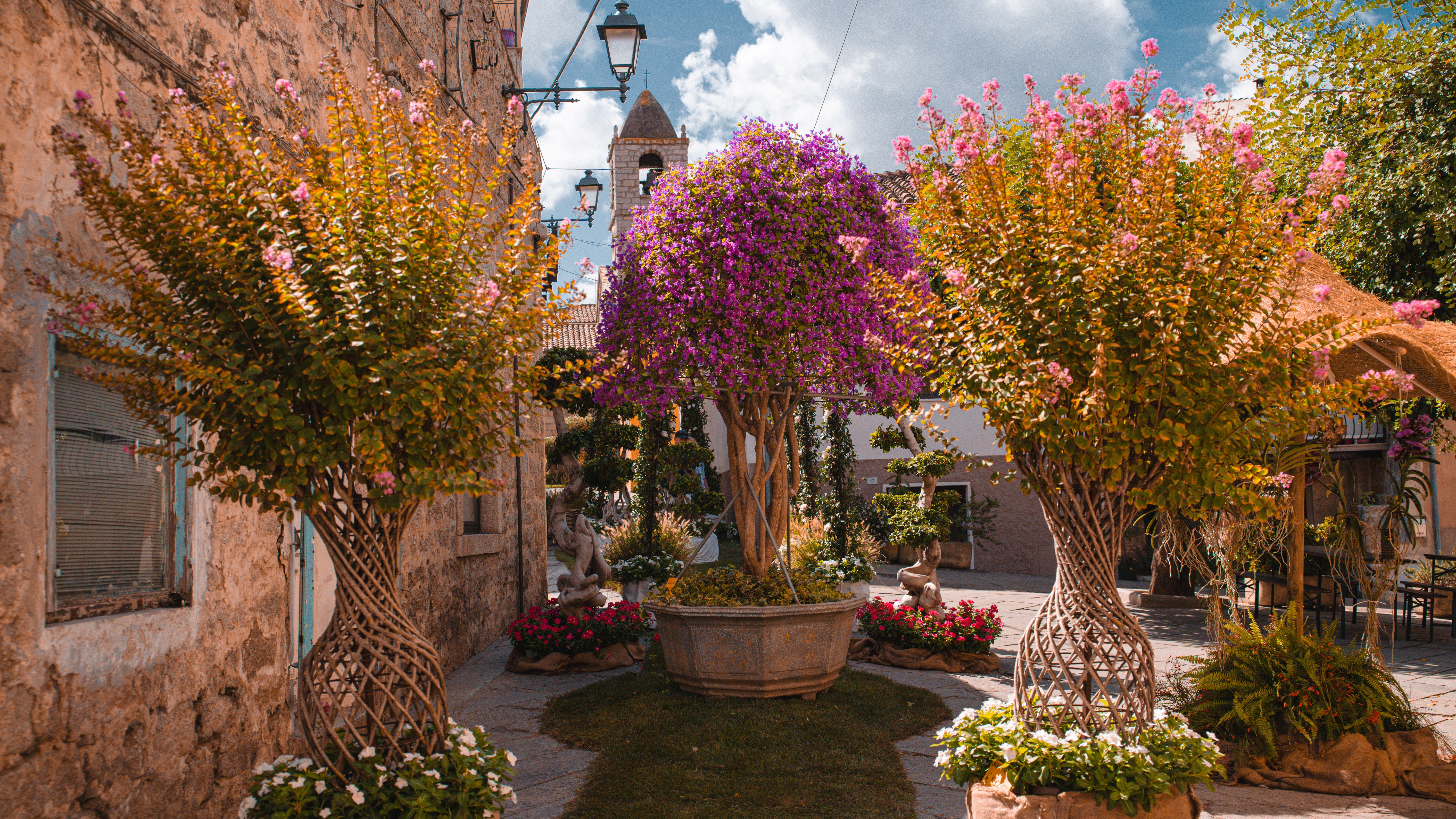 Estate in Fiore Arzachena, edizione 2025 - corso Garibaldi