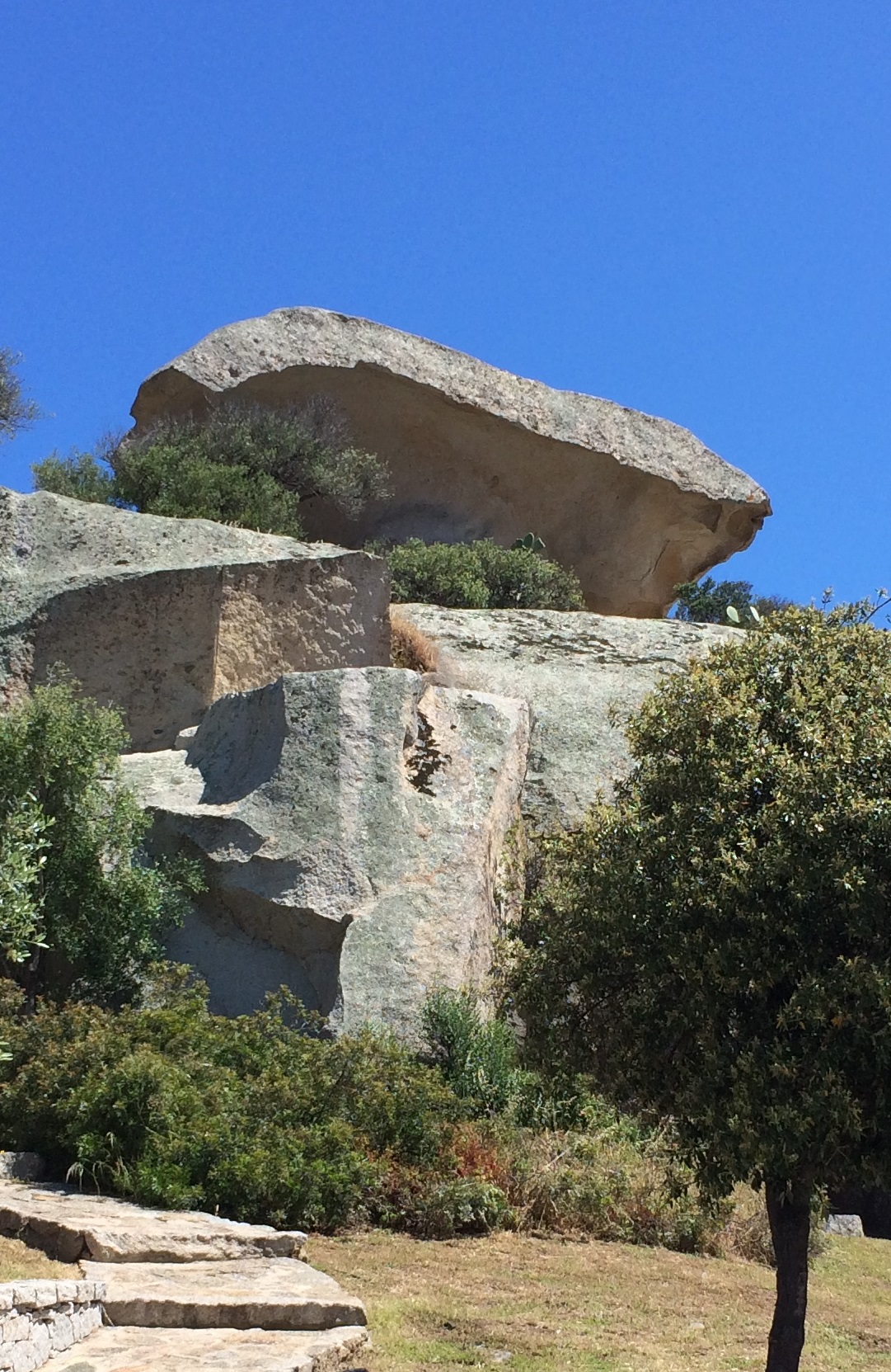 Arzachena roccia monumentale Il Fungo