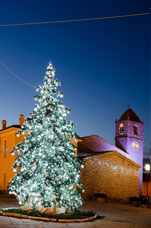 Arzachena piazza Risorgimento albero ecologico natale 2020 low 